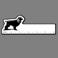 6" Ruler W/ English Springer Spaniel Dog
